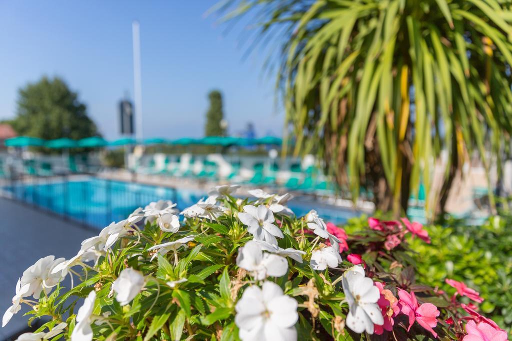 Residenza Orchidee Aparthotel ลาซีเซ ภายนอก รูปภาพ
